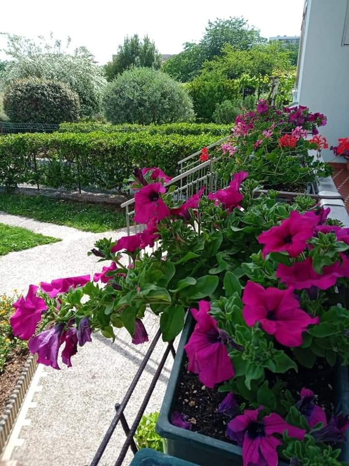 La Cjase Di Pieri E Vilme Bed and Breakfast Udine Buitenkant foto
